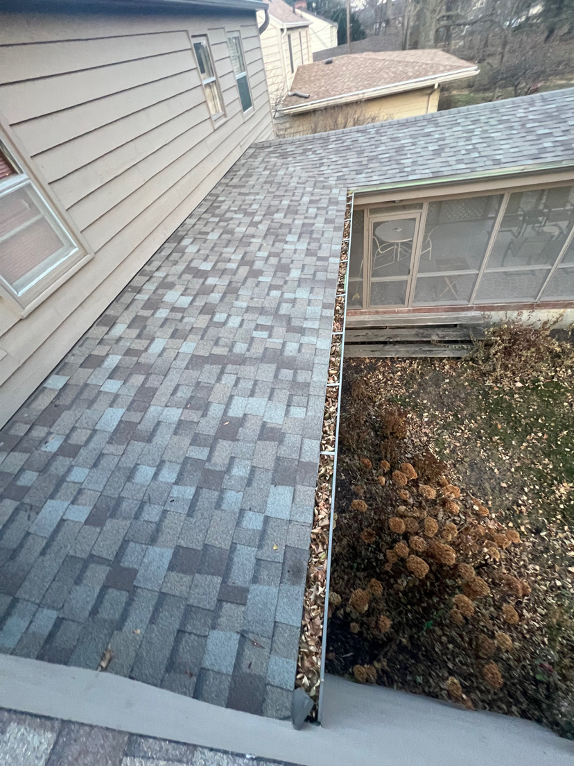 Gutter Cleaning Before